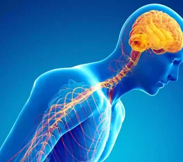 الخلل العصبي